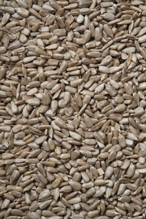 lukasz-rawa-NDro8tjU4e0-unsplash_750x750.webp Sunflower Seed (Dehulled) - Image 1