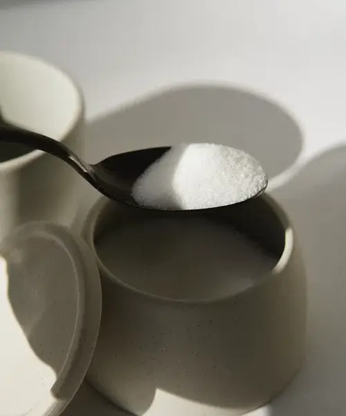 Premium Castor Sugar